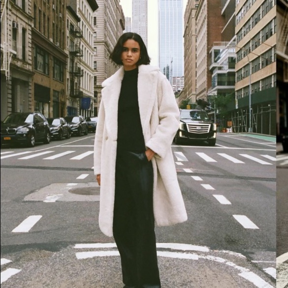 Teddy Coat - Aritzia